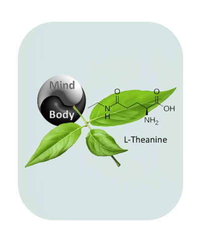 L-Theanine