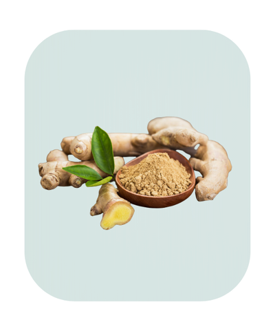 Ginger Extract