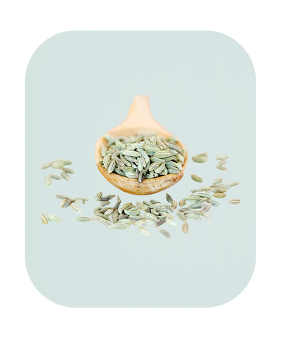 Fennel Seed extract