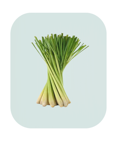 Lemon Grass