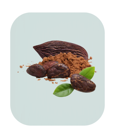 Cocoa Bean Extract