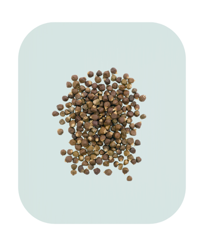 Guinea Pepper