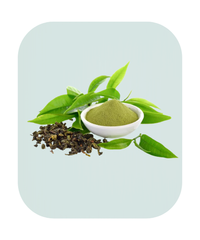 Green Tea Extract